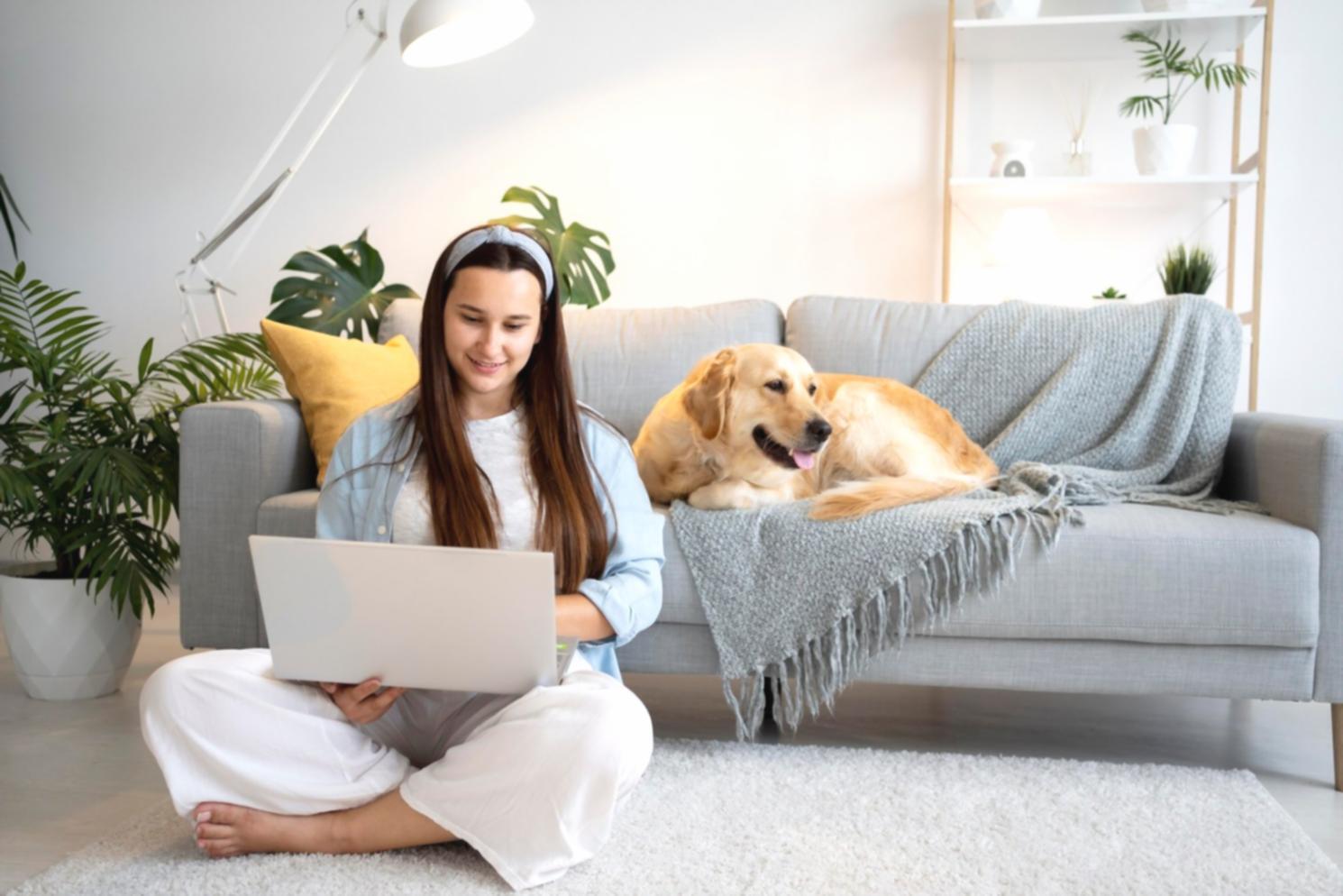 Session de conseil stratégique pour création d'entreprise